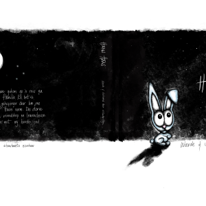 Hans Haas - Boek